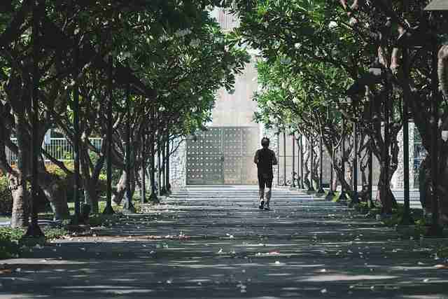 蘑菇影视在线观看官方推荐合集｜观众情绪分析资源每日上新